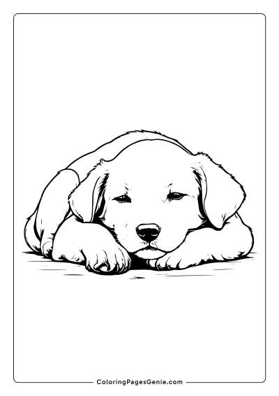 Dog Sleeping Coloring Page