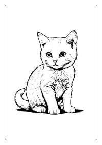 Maine Coon Cat Coloring Page