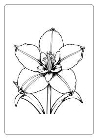 Amaryllis Flower Coloring Page