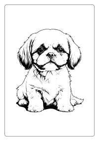 Shih Tzu Coloring Page