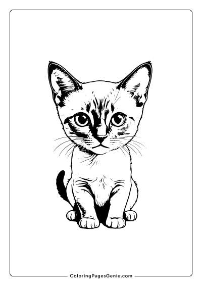 Siamese Cat Coloring Page