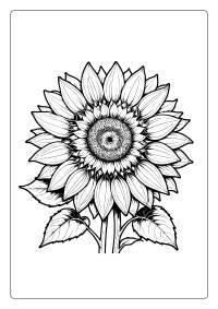 Sunflower Flower Coloring Page