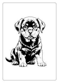 Rottweiler Coloring Page