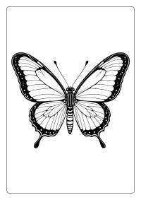 Glasswing Butterfly Coloring Page