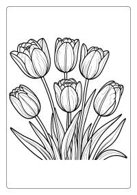 Tulip Flower Coloring Page