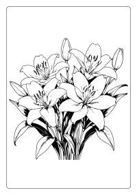 Lily Flower Coloring Page