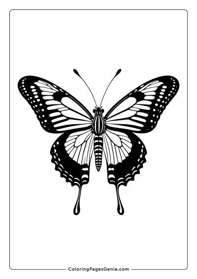 Zebra Longwing Butterfly Coloring Page