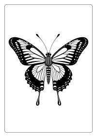 Zebra Longwing Butterfly Coloring Page