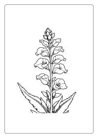 Snapdragon Flower Coloring Page