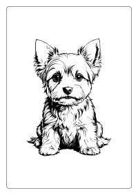 Yorkshire Terrier Coloring Page