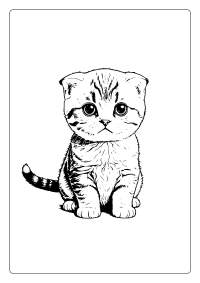 Scottish Fold Cat Coloring Page