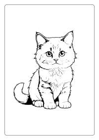 Ragdoll Cat Coloring Page