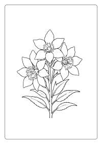 Delphinium Flower Coloring Page