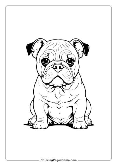 Bulldog Coloring Page