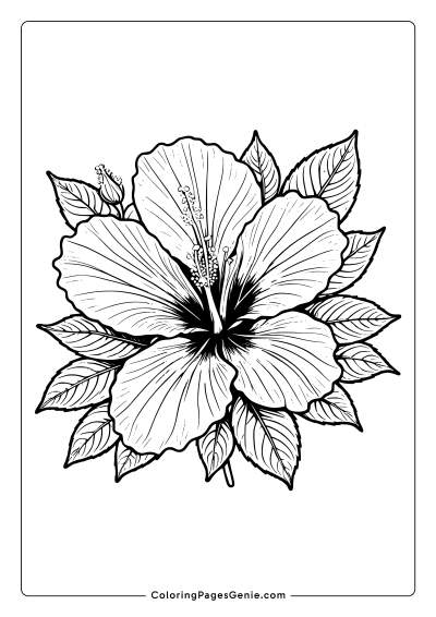 Hibiscus Flower Coloring Page