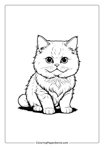 Persian Cat Coloring Page