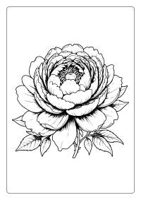 Peony Flower Coloring Page