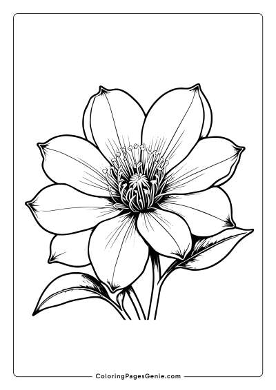 Lisianthu Flower Coloring Page