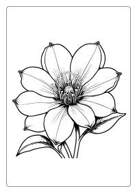 Lisianthu Flower Coloring Page