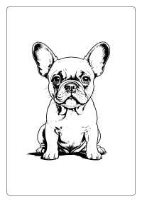 French Bulldog Coloring Page