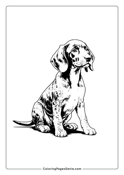 German Shorthaired Pointer Coloring Page