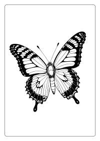 Painted Lady Butterfly Coloring Page