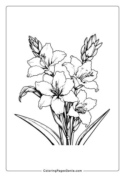 Gladiolus Flower Coloring Page