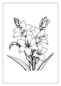 Gladiolus Flower Coloring Page