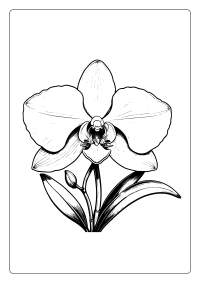 Orchid Flower Coloring Page