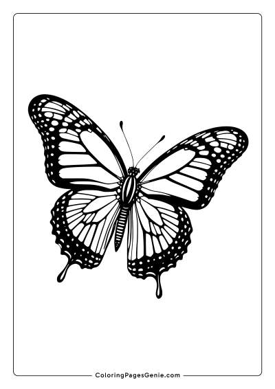 Monarch Butterfly Coloring Page