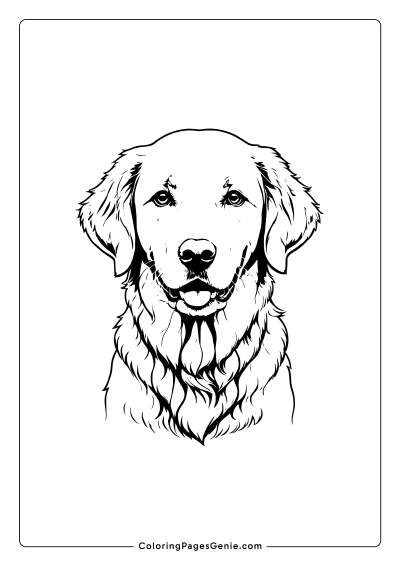 Golden Retriever Coloring Page