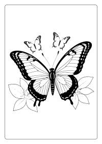 Ulysses Butterfly Coloring Page