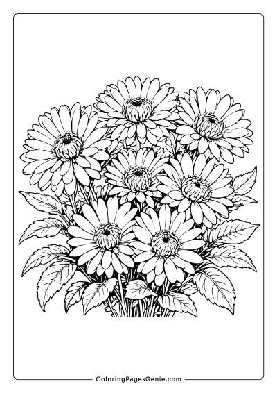 Chrysanthemum Flower Coloring Page