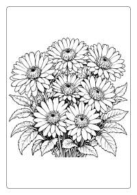 Chrysanthemum Flower Coloring Page