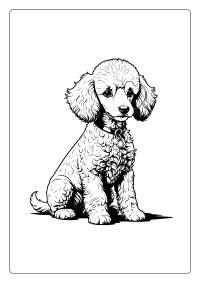 Poodle Coloring Page